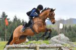 Wicket-BG2918-2.jpg