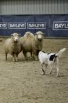 Lambourn-BK2280.jpg