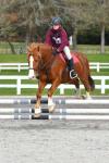 Honeyfield-BK5878.jpg