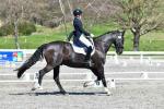 Purdie-2-BK8079.jpg