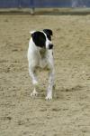 Lambourn-BK2285.jpg