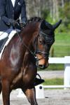 Purdie-1-BK7782.jpg