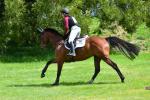 Dorotich-191-BG4611.jpg