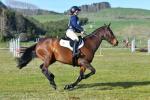 Roycroft-BK6521.jpg