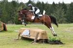 Roycroft-BG3130.jpg