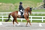 McGregor-1-BK8818.jpg