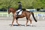 McGregor-BL3222.jpg