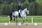 Searchfield-BL4285.jpg