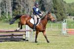Honeyfield-BK7074.jpg