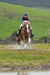 Hunter-BG3243.jpg