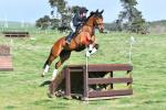 Cadwallader-BK9690.jpg