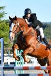 Oliver-BJ8071-2.jpg