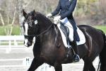 Purdie-2-BK8082.jpg