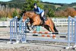 Beasant-BJ7909.jpg