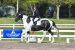 Fletcher-BL3265.jpg