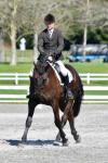 Morton-Beetham-3-BK8717.jpg