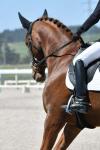 McGregor-BL3789.jpg