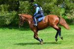 Norgrove-BG4585.jpg