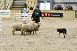 Lamb-BK3000.jpg
