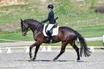 Purdie-1-BK7783.jpg