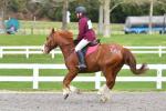 Honeyfield-BK5873.jpg