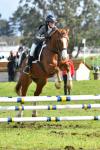 Honeyfield-BG3961.jpg