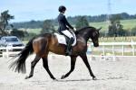 Purdie-BL4774.jpg