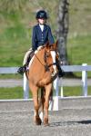 Harding-1-BK8523.jpg