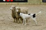 Lambourn-BK2298.jpg