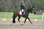 Cooper-BL4333.jpg