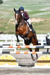 Dorotich-108-BJ7353.jpg