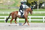 McGregor-1-BK8807.jpg
