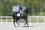 Sheldrake-BL4131.jpg