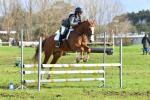Honeyfield-BG3962.jpg