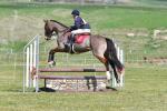 Alderton-BK6978.jpg