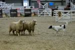 Lambourn-BK2287.jpg