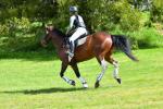 Roycroft-BG4751.jpg