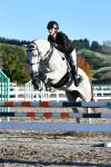 Braithwaite-245-BJ8055-2.jpg