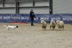 Lambourn-BK2277.jpg