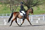 Barrowcliffe-2-BK8511.jpg