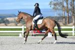 Waller-BK8360.jpg