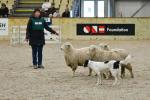 Lambourn-BK2299.jpg