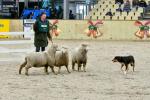 Lamb-BK3002.jpg