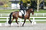 Harding-2-BK7803.jpg
