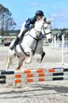 Hunter-BK6222.jpg