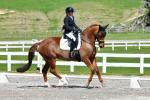 McGregor-1-BK8818.jpg