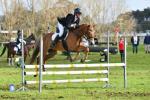 Honeyfield-BG3956.jpg