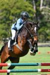 Fleming-161-BG4850-2.jpg