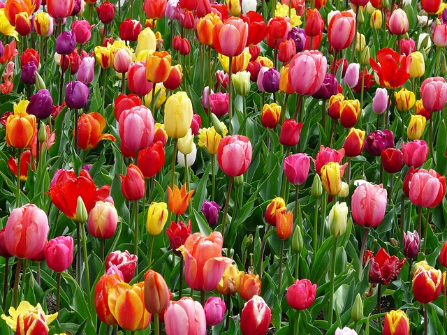 abundance