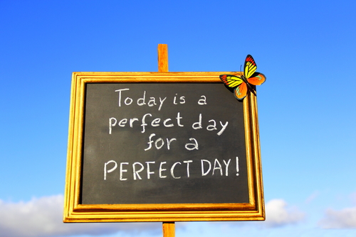 the perfect day